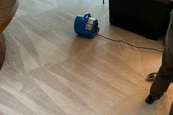 Carpet Cleaning in the Fox Valley