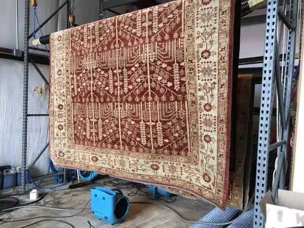 Rug Cleaning process